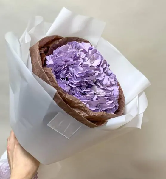 Лунный альбом