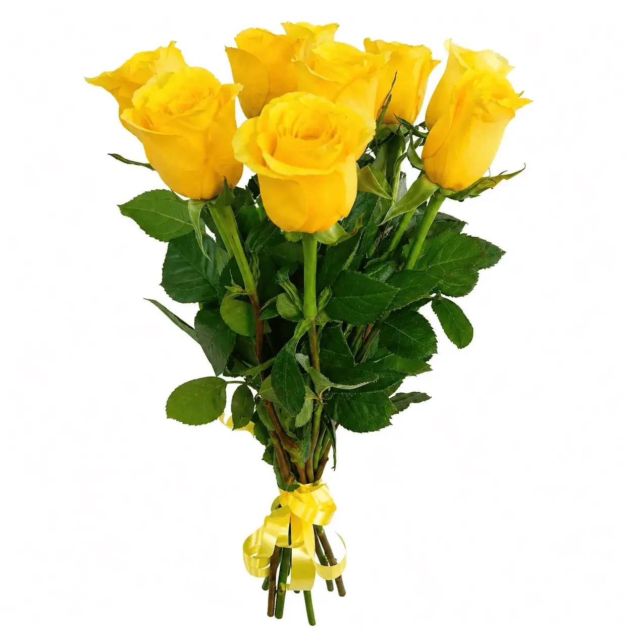 Букет из 9 желтых роз под ленту