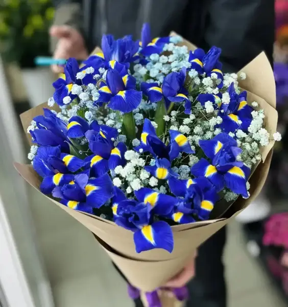 Весенний бриз