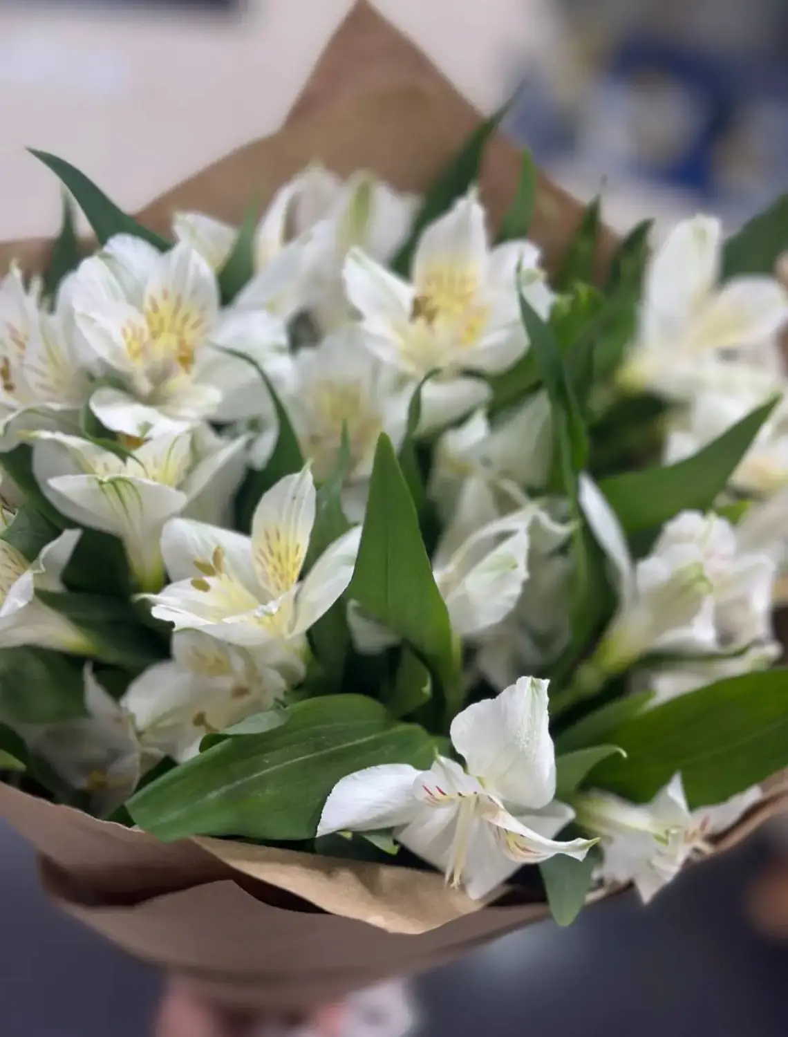 Тихая гармония