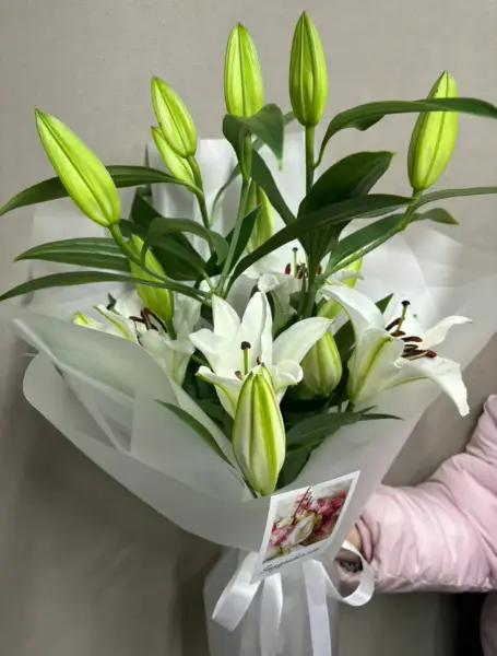 Всегда в моих мыслях