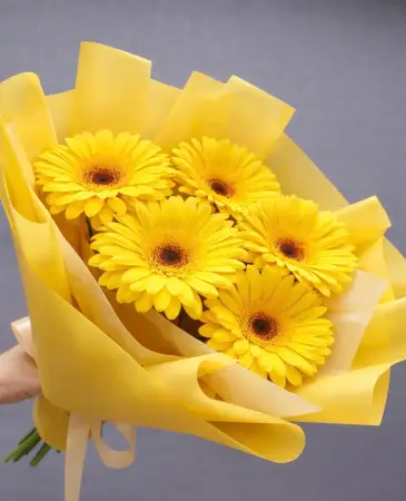 Солнечный поцелуй